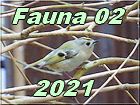 fauna 02